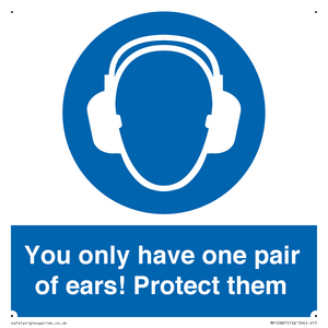 Mandatory: You only have one pair of ears! Protect them